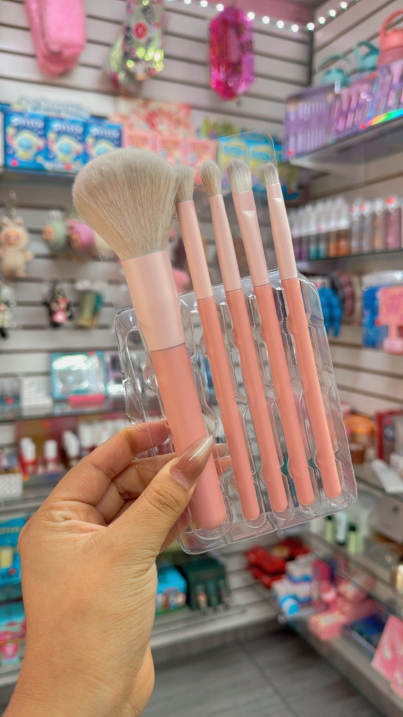 Set de 5 BROCHAS beauty Master